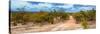 Awesome South Africa Collection Panoramic - Savannah Landscape-Philippe Hugonnard-Stretched Canvas