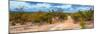 Awesome South Africa Collection Panoramic - Savannah Landscape-Philippe Hugonnard-Mounted Photographic Print