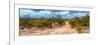 Awesome South Africa Collection Panoramic - Savannah Landscape-Philippe Hugonnard-Framed Photographic Print