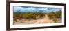 Awesome South Africa Collection Panoramic - Savannah Landscape-Philippe Hugonnard-Framed Photographic Print