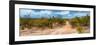 Awesome South Africa Collection Panoramic - Savannah Landscape-Philippe Hugonnard-Framed Photographic Print