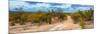 Awesome South Africa Collection Panoramic - Savannah Landscape-Philippe Hugonnard-Mounted Photographic Print