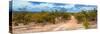 Awesome South Africa Collection Panoramic - Savannah Landscape-Philippe Hugonnard-Stretched Canvas