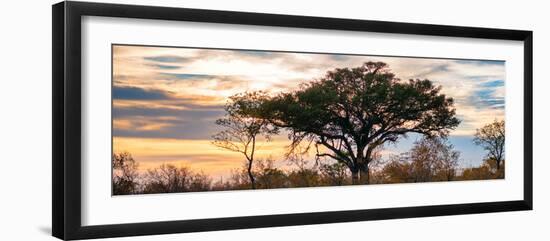 Awesome South Africa Collection Panoramic - Savannah Sunrise-Philippe Hugonnard-Framed Photographic Print