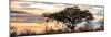 Awesome South Africa Collection Panoramic - Savannah Sunrise-Philippe Hugonnard-Mounted Photographic Print