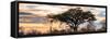 Awesome South Africa Collection Panoramic - Savannah Sunrise-Philippe Hugonnard-Framed Stretched Canvas