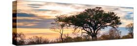 Awesome South Africa Collection Panoramic - Savannah Sunrise-Philippe Hugonnard-Stretched Canvas