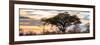 Awesome South Africa Collection Panoramic - Savannah Sunrise-Philippe Hugonnard-Framed Photographic Print