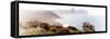 Awesome South Africa Collection Panoramic - South Peninsula Landscape - Cape Town II-Philippe Hugonnard-Framed Stretched Canvas