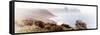 Awesome South Africa Collection Panoramic - South Peninsula Landscape - Cape Town II-Philippe Hugonnard-Framed Stretched Canvas