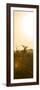 Awesome South Africa Collection Panoramic - Sunrise Road-Philippe Hugonnard-Framed Photographic Print