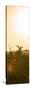 Awesome South Africa Collection Panoramic - Sunrise Road-Philippe Hugonnard-Stretched Canvas