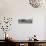 Awesome South Africa Collection Panoramic - Three Giraffes B&W-Philippe Hugonnard-Stretched Canvas displayed on a wall