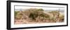 Awesome South Africa Collection Panoramic - Three Giraffes II-Philippe Hugonnard-Framed Photographic Print