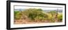 Awesome South Africa Collection Panoramic - Three Giraffes-Philippe Hugonnard-Framed Photographic Print