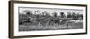 Awesome South Africa Collection Panoramic - Three Zebra B&W-Philippe Hugonnard-Framed Photographic Print