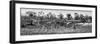 Awesome South Africa Collection Panoramic - Three Zebra B&W-Philippe Hugonnard-Framed Photographic Print