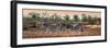 Awesome South Africa Collection Panoramic - Three Zebra-Philippe Hugonnard-Framed Photographic Print