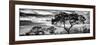 Awesome South Africa Collection Panoramic - Tree Silhouetted at Sunset B&W-Philippe Hugonnard-Framed Photographic Print