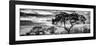 Awesome South Africa Collection Panoramic - Tree Silhouetted at Sunset B&W-Philippe Hugonnard-Framed Photographic Print