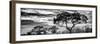 Awesome South Africa Collection Panoramic - Tree Silhouetted at Sunset B&W-Philippe Hugonnard-Framed Photographic Print