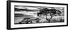 Awesome South Africa Collection Panoramic - Tree Silhouetted at Sunset B&W-Philippe Hugonnard-Framed Photographic Print