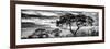 Awesome South Africa Collection Panoramic - Tree Silhouetted at Sunset B&W-Philippe Hugonnard-Framed Photographic Print