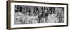 Awesome South Africa Collection Panoramic - Two Burchell's Zebra B&W-Philippe Hugonnard-Framed Photographic Print