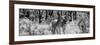 Awesome South Africa Collection Panoramic - Two Burchell's Zebra B&W-Philippe Hugonnard-Framed Photographic Print