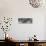 Awesome South Africa Collection Panoramic - Two Burchell's Zebra Portrait B&W-Philippe Hugonnard-Stretched Canvas displayed on a wall