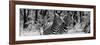 Awesome South Africa Collection Panoramic - Two Burchell's Zebra Portrait B&W-Philippe Hugonnard-Framed Photographic Print