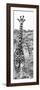 Awesome South Africa Collection Panoramic - Two Giraffes Portrait B&W-Philippe Hugonnard-Framed Photographic Print