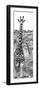 Awesome South Africa Collection Panoramic - Two Giraffes Portrait B&W-Philippe Hugonnard-Framed Photographic Print