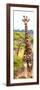 Awesome South Africa Collection Panoramic - Two Giraffes Portrait II-Philippe Hugonnard-Framed Photographic Print