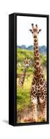 Awesome South Africa Collection Panoramic - Two Giraffes Portrait II-Philippe Hugonnard-Framed Stretched Canvas