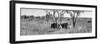 Awesome South Africa Collection Panoramic - Two Rhinos in Savanna B&W-Philippe Hugonnard-Framed Photographic Print