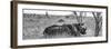 Awesome South Africa Collection Panoramic - Two White Rhinos I-Philippe Hugonnard-Framed Photographic Print