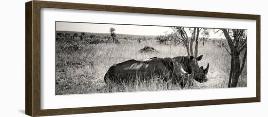 Awesome South Africa Collection Panoramic - Two White Rhinos-Philippe Hugonnard-Framed Photographic Print