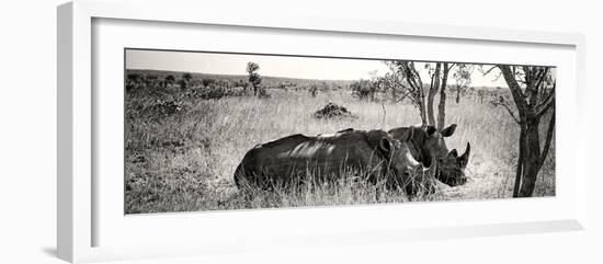 Awesome South Africa Collection Panoramic - Two White Rhinos-Philippe Hugonnard-Framed Photographic Print