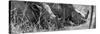 Awesome South Africa Collection Panoramic - White Rhinos Sleeping B&W-Philippe Hugonnard-Stretched Canvas