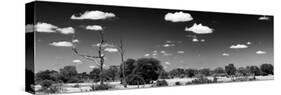 Awesome South Africa Collection Panoramic - Wide Landscape B&W-Philippe Hugonnard-Stretched Canvas