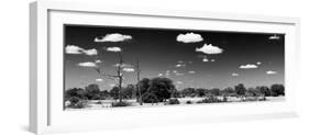 Awesome South Africa Collection Panoramic - Wide Landscape B&W-Philippe Hugonnard-Framed Photographic Print