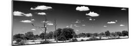 Awesome South Africa Collection Panoramic - Wide Landscape B&W-Philippe Hugonnard-Mounted Photographic Print