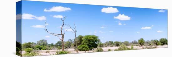 Awesome South Africa Collection Panoramic - Wide Landscape II-Philippe Hugonnard-Stretched Canvas
