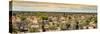 Awesome South Africa Collection Panoramic - Wide Landscape with Trees-Philippe Hugonnard-Stretched Canvas