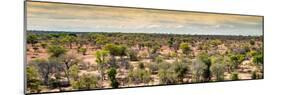 Awesome South Africa Collection Panoramic - Wide Landscape with Trees-Philippe Hugonnard-Mounted Photographic Print