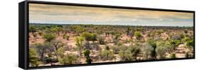 Awesome South Africa Collection Panoramic - Wide Landscape with Trees-Philippe Hugonnard-Framed Stretched Canvas