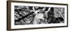 Awesome South Africa Collection Panoramic - Young Impala B&W-Philippe Hugonnard-Framed Photographic Print