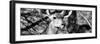 Awesome South Africa Collection Panoramic - Young Impala B&W-Philippe Hugonnard-Framed Photographic Print