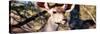 Awesome South Africa Collection Panoramic - Young Impala-Philippe Hugonnard-Stretched Canvas